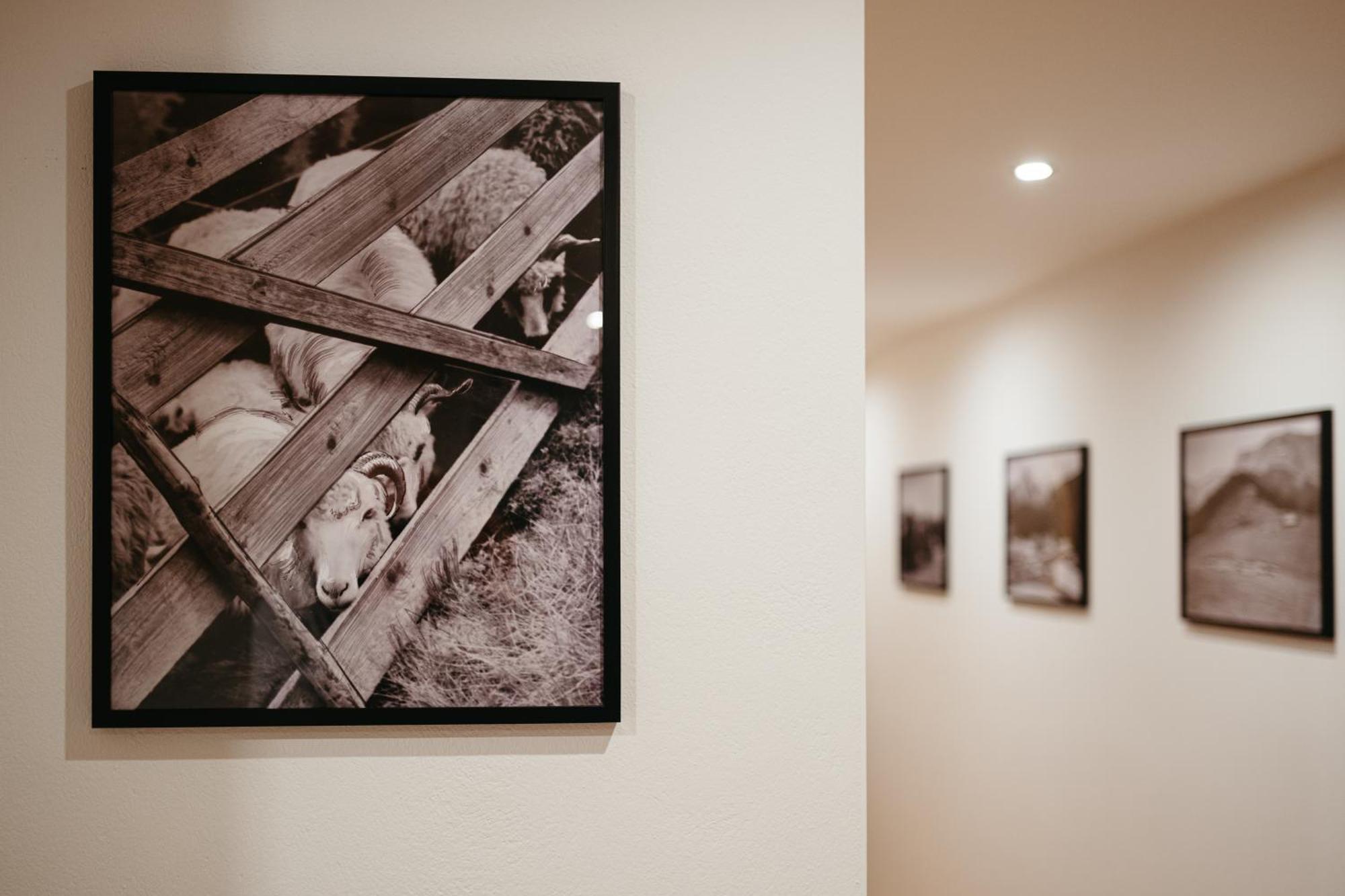 Novopolka Apartamenty Rzepiska Chambre photo